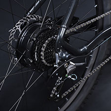 honeywell e-bike feature 3