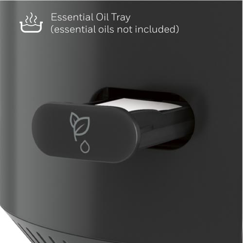 Top 5 Humidifier Essential Oils