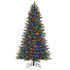 Honeywell 8 ft Pre Lit Christmas Tree, Churchill Pine Artificial Tree with 800 Dual Color Changing LED Lights