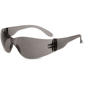 Uvex by Honeywell XV108 Series Gray Safety Eyewear