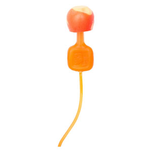 Howard Leight TrustFit Pod Push-In Corded Earplugs, 1000 Pairs